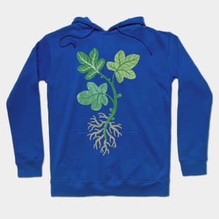 Fig Tree Cutting Hoodie